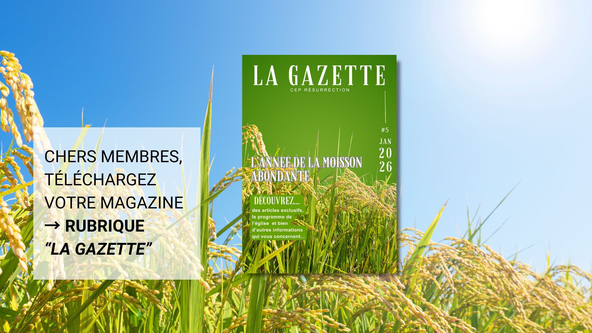 WhatsApp Image 2026-01-22 at 13.42.49